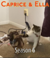 Caprice & Ella season 6.png