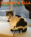 Caprice & Ella season 4.png