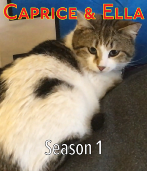 Caprice & Ella season 1.png