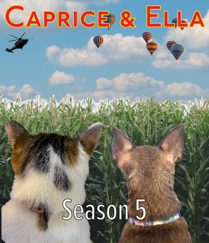 Caprice & Ella season 5.png
