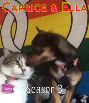 Caprice & Ella season 3.png
